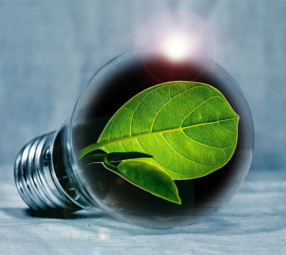 Bio-Energy