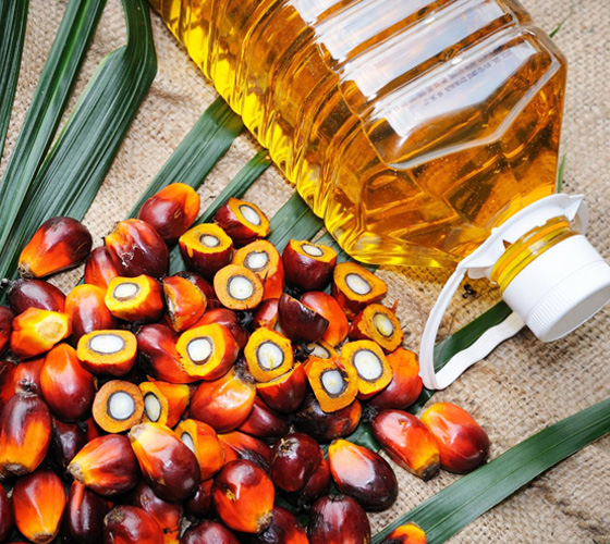 palm oil 1